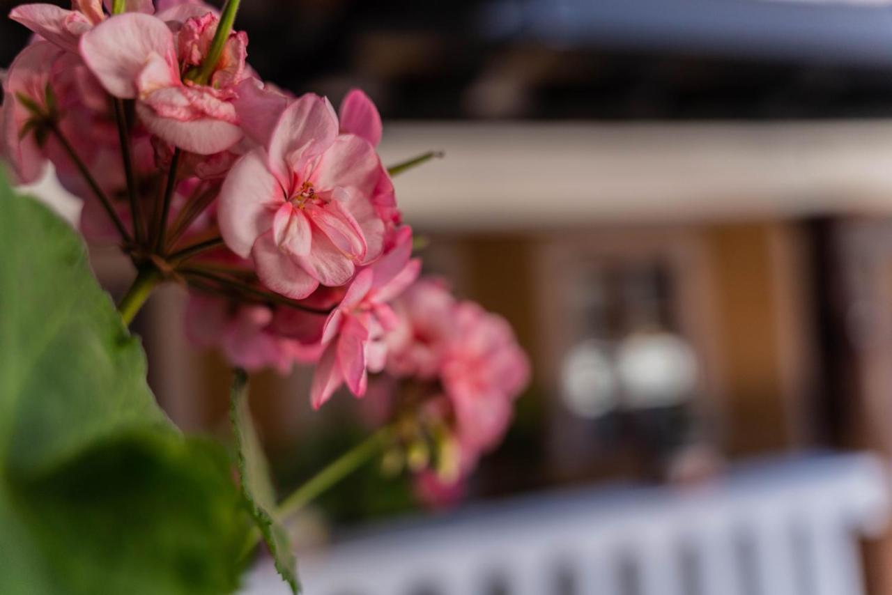 Casa Graciela Hotel Pátzcuaro Εξωτερικό φωτογραφία